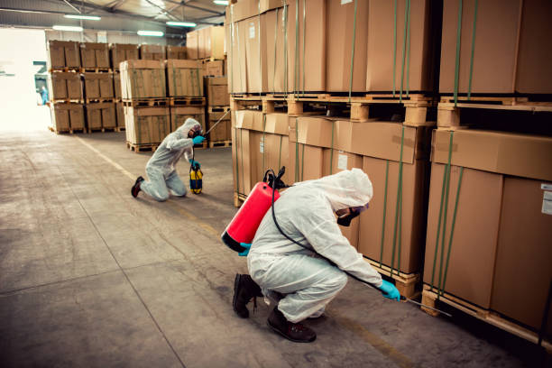 Best Mosquito Control Services  in Rockwell Place, TX